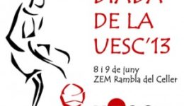 Cartell Diada UESC web