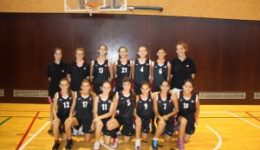 Infantil Fem 1 2013-14